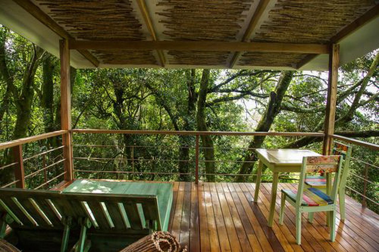 Chayote Lodge Zarcero Zewnętrze zdjęcie